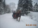 Wejdź dscn1168_t1.jpg