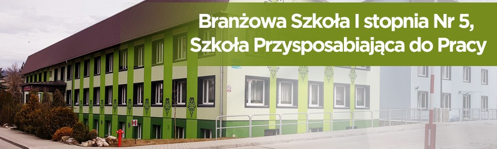 Branowa Szkoa I stopnia Nr 5